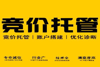 SEM案例：如何利用数据分析提升效果